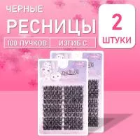 Ресницы черные 100 пучков 05 2 шт