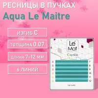 Ресницы Aqua Le Maitre "Caprice" 6 линий